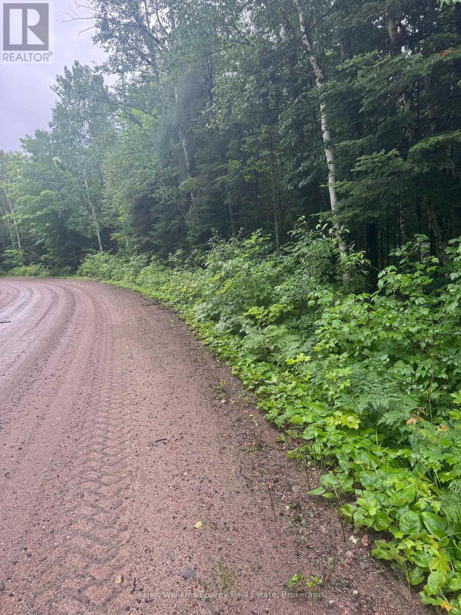 N/a Cross Country Road, Hastings Highlands, Ontario  K0L 1C0 - Photo 11 - X13546108