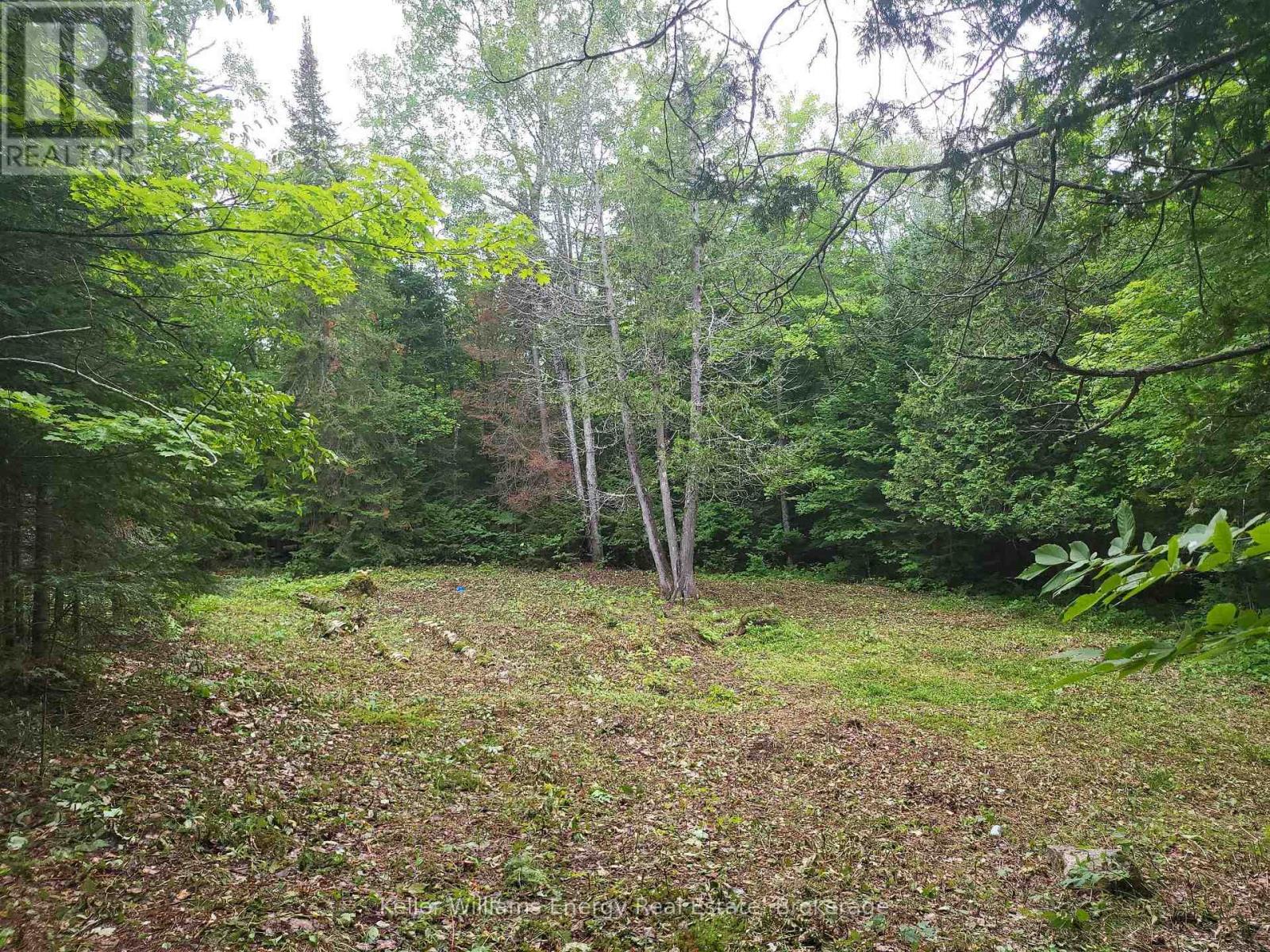 N/a Cross Country Road, Hastings Highlands, Ontario  K0L 1C0 - Photo 13 - X13546108