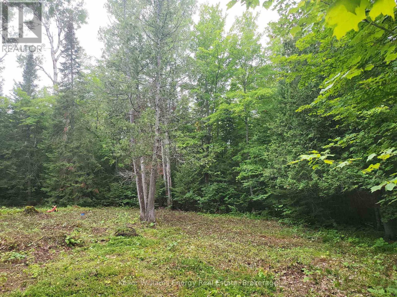 N/a Cross Country Road, Hastings Highlands, Ontario  K0L 1C0 - Photo 14 - X13546108