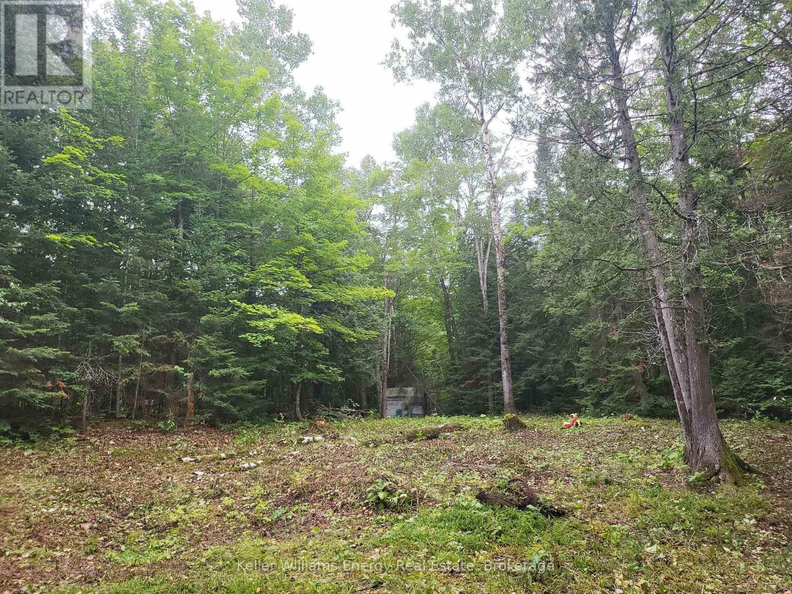 N/a Cross Country Road, Hastings Highlands, Ontario  K0L 1C0 - Photo 3 - X13546108