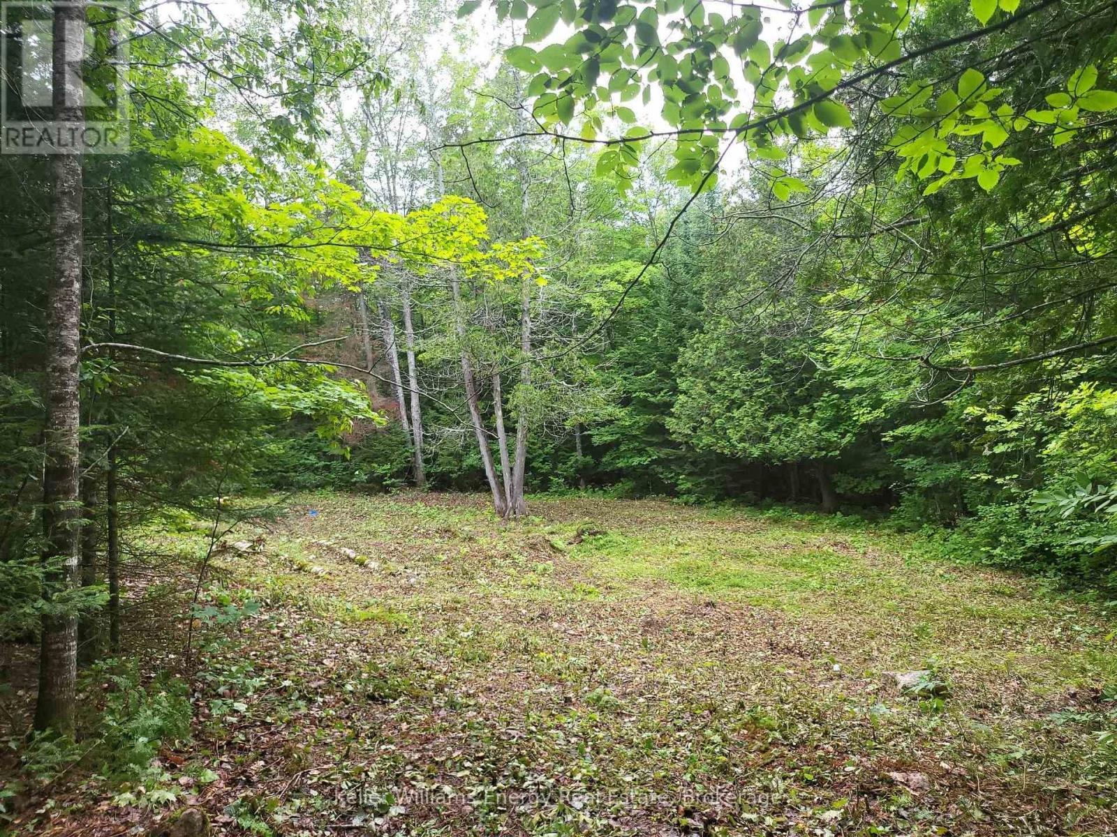 N/a Cross Country Road, Hastings Highlands, Ontario  K0L 1C0 - Photo 8 - X13546108