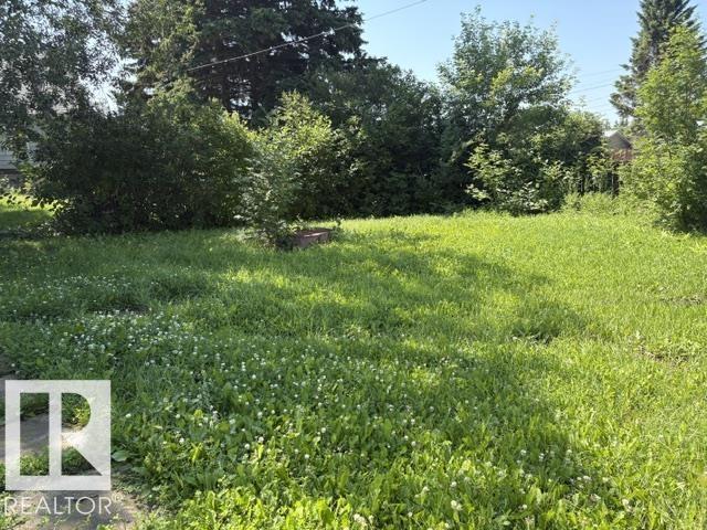 5218 45 Av, Vegreville, Alberta  T9C 1A2 - Photo 17 - E4501074
