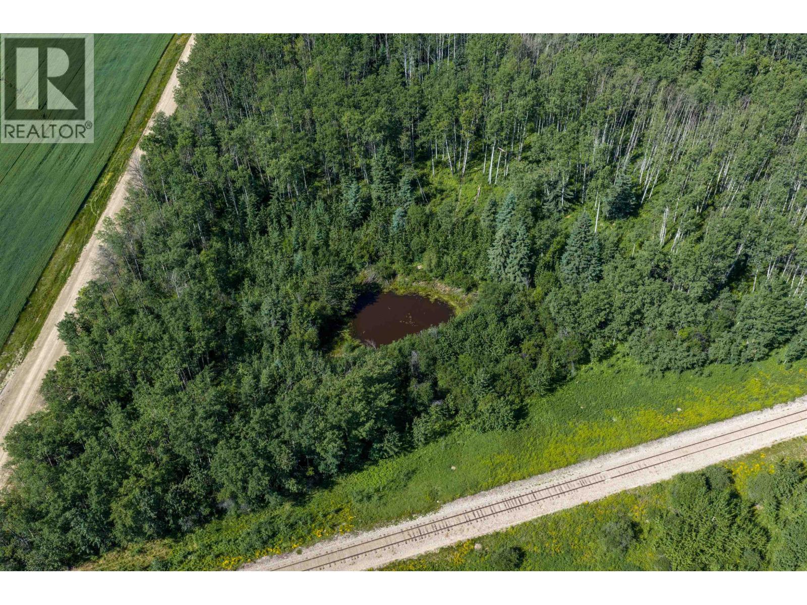 SW 1/4-Sec 13 262 Road, Fort St. John, British Columbia  V0C 2H0 - Photo 4 - R3150211