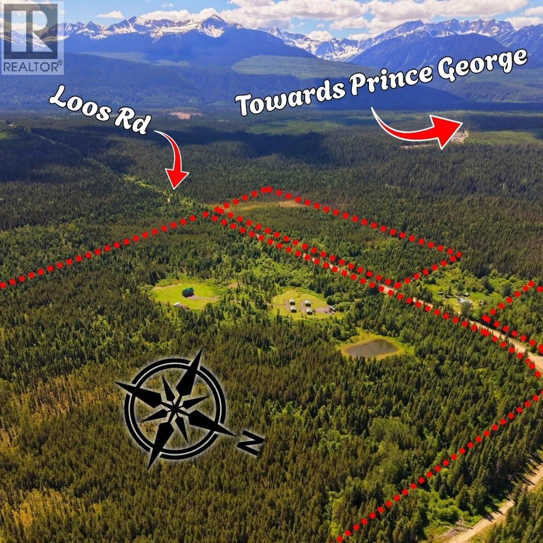 8170 Loos Road, Mcbride, British Columbia  V0J 3E0 - Photo 4 - R3149139