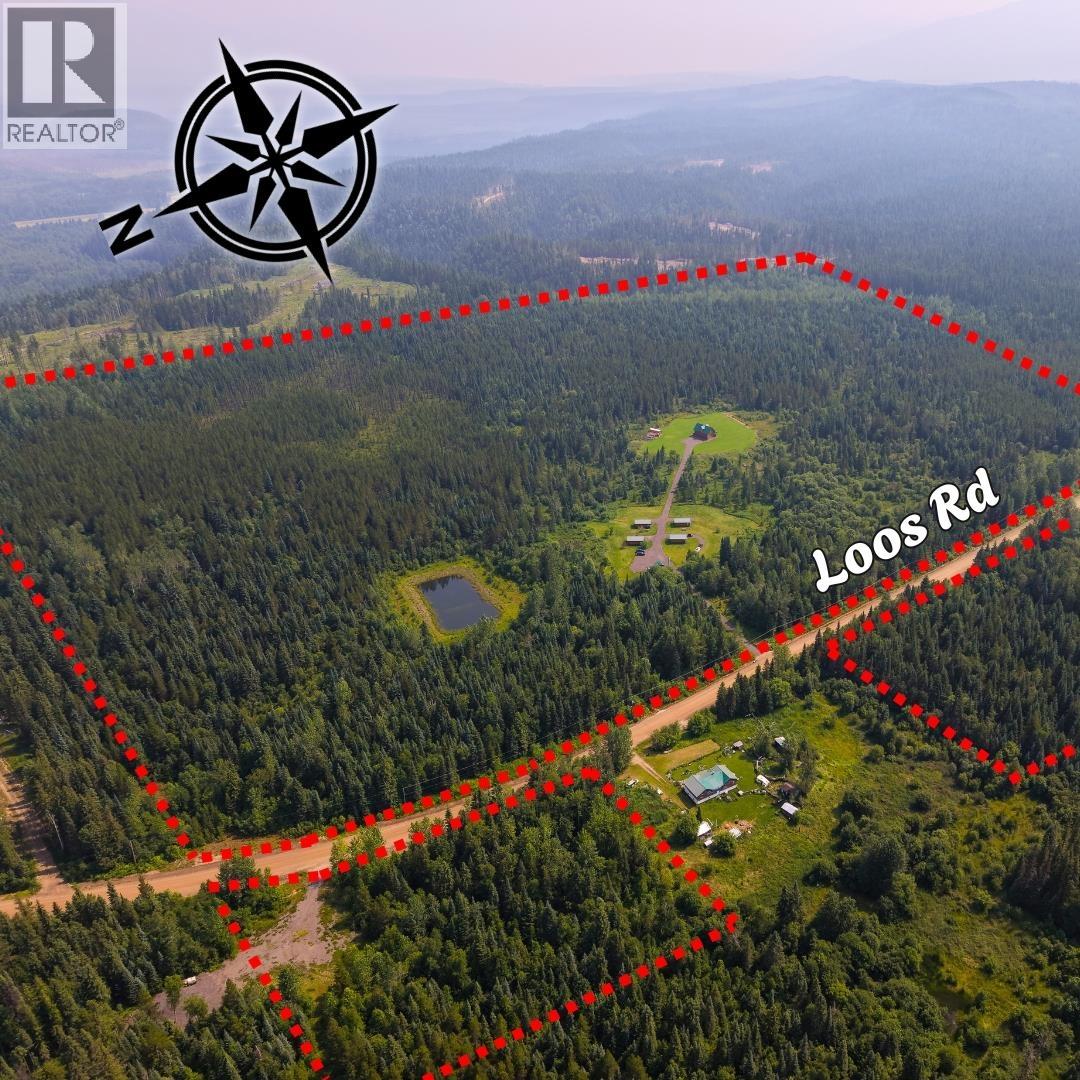8170 Loos Road, Mcbride, British Columbia  V0J 3E0 - Photo 5 - R3149139