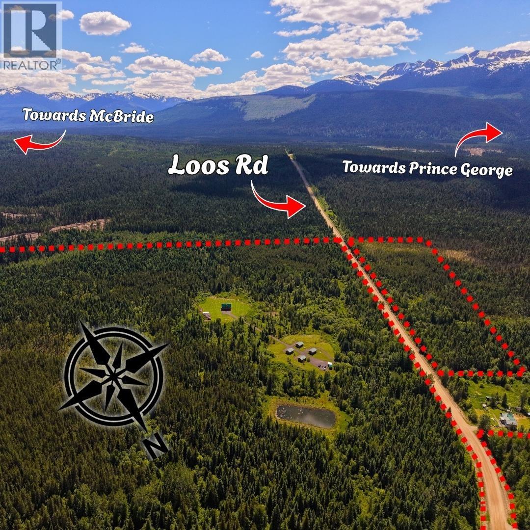 8170 Loos Road, Mcbride, British Columbia  V0J 3E0 - Photo 3 - R3149139
