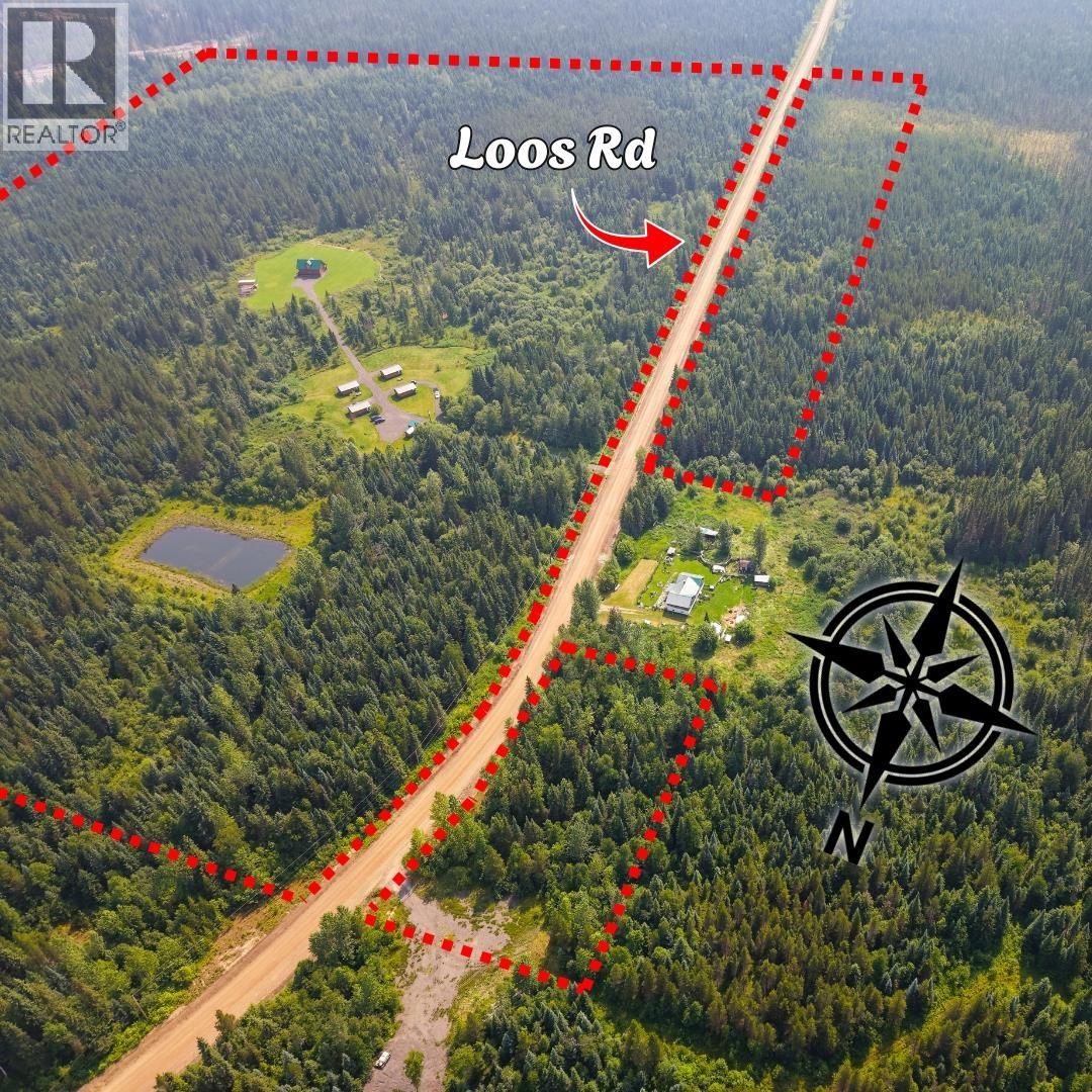 8170 Loos Road, Mcbride, British Columbia  V0J 3E0 - Photo 6 - R3149139