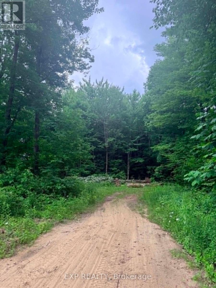 00 B Concession Road 4 Road, Alfred And Plantagenet, Ontario  K0B 1L0 - Photo 16 - X13492480