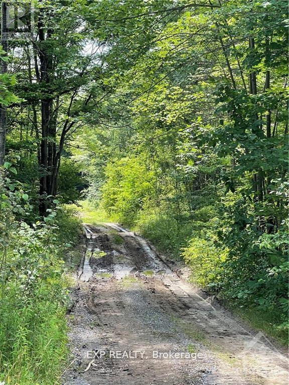 00 B Concession Road 4 Road, Alfred And Plantagenet, Ontario  K0B 1L0 - Photo 12 - X13492480
