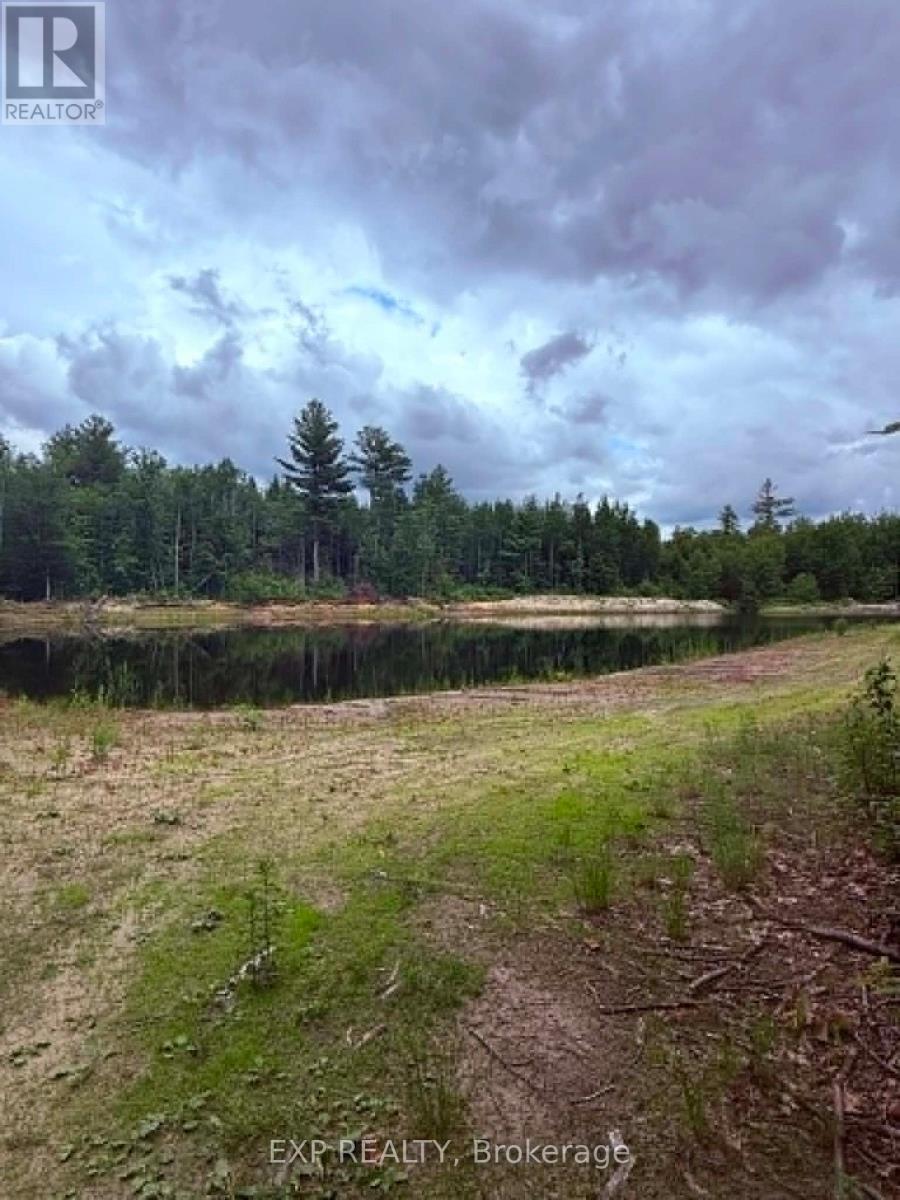 00 B Concession Road 4 Road, Alfred And Plantagenet, Ontario  K0B 1L0 - Photo 20 - X13492480