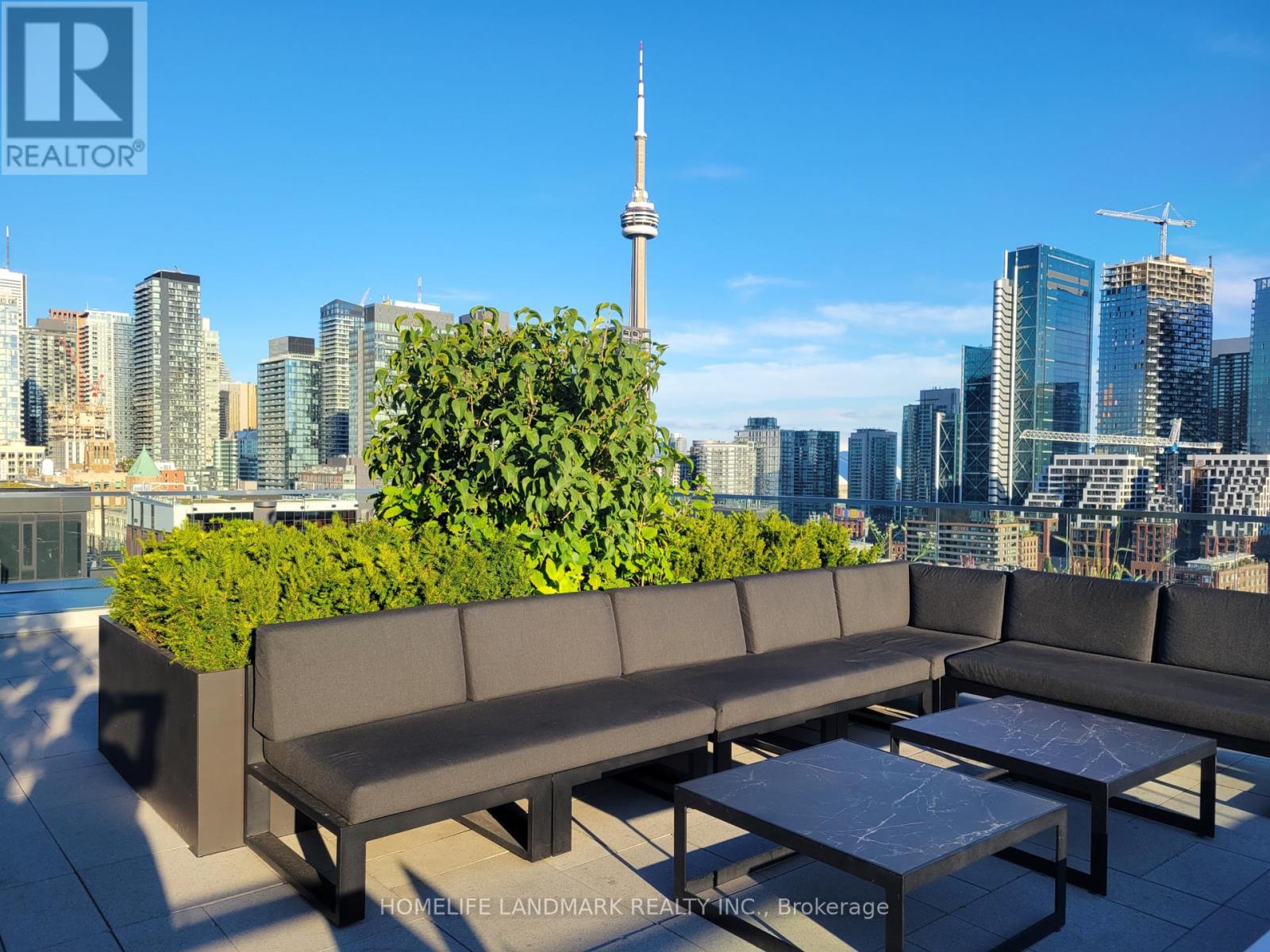 504 - 505 Richmond Street W, Toronto, Ontario  M5V 0P4 - Photo 8 - C13615352