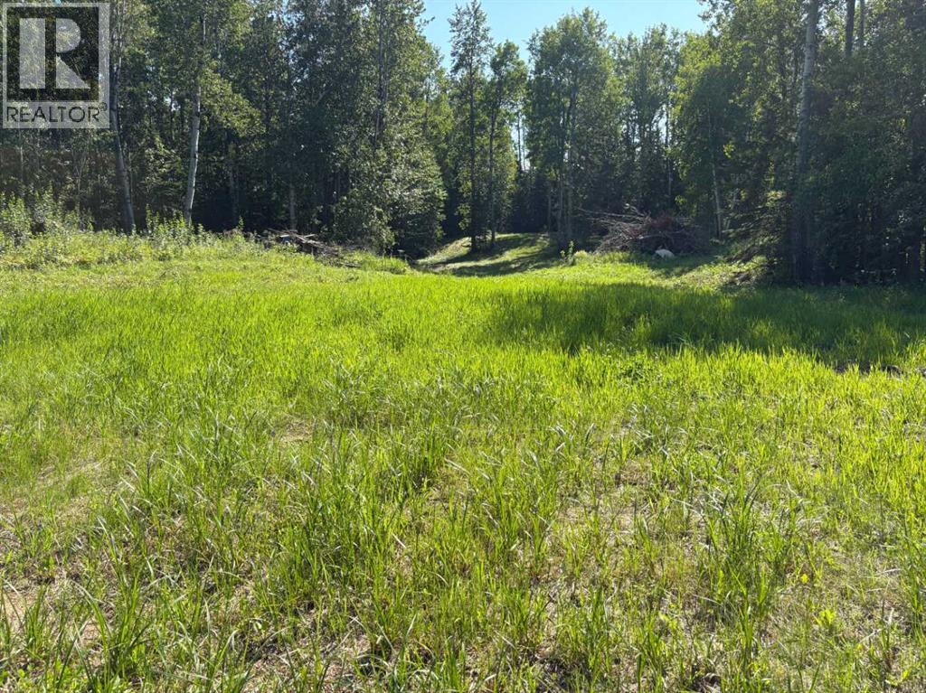 62 Lakeview Heights, Canyon Creek, Alberta  T0G 0M0 - Photo 1 - A2323965