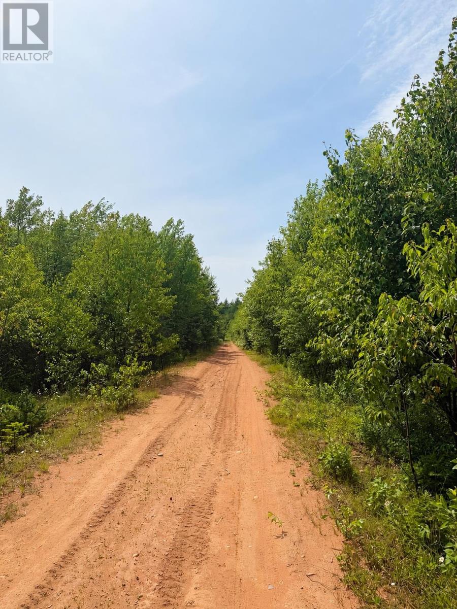 131 Hardy Road, Montrose, Prince Edward Island  C0B 2B0 - Photo 15 - 202618890