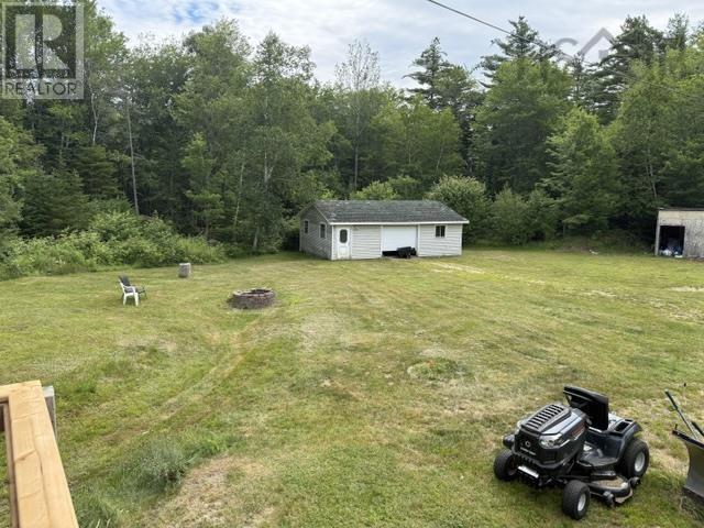 picture 15
