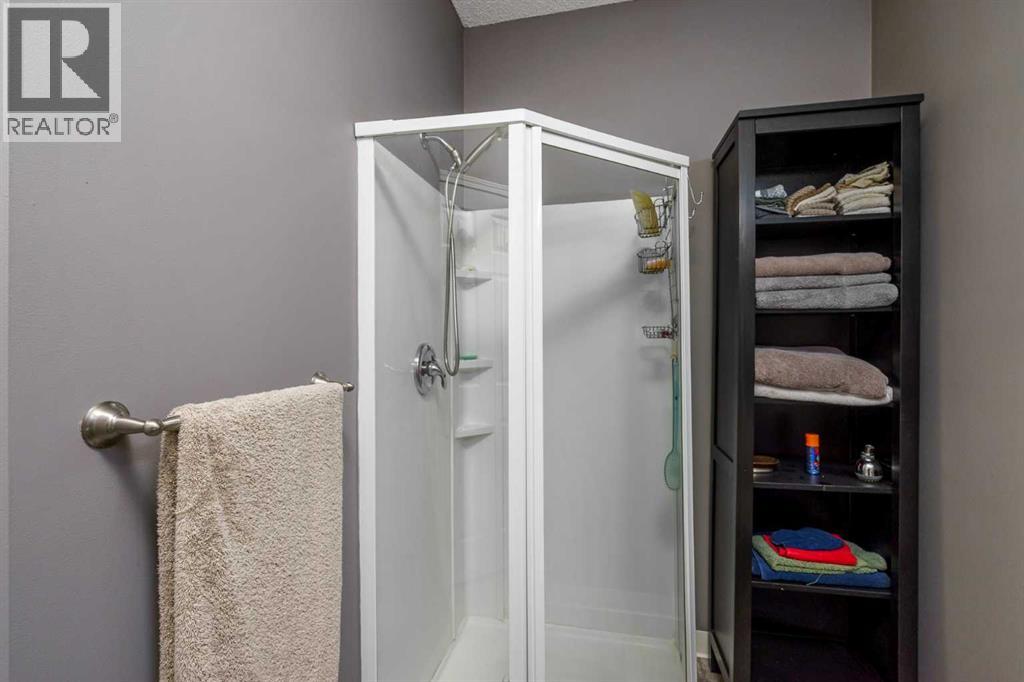 2367 Sagewood Gate SW, Airdrie, Alberta  T4B 3M7 - Photo 29 - A2319436