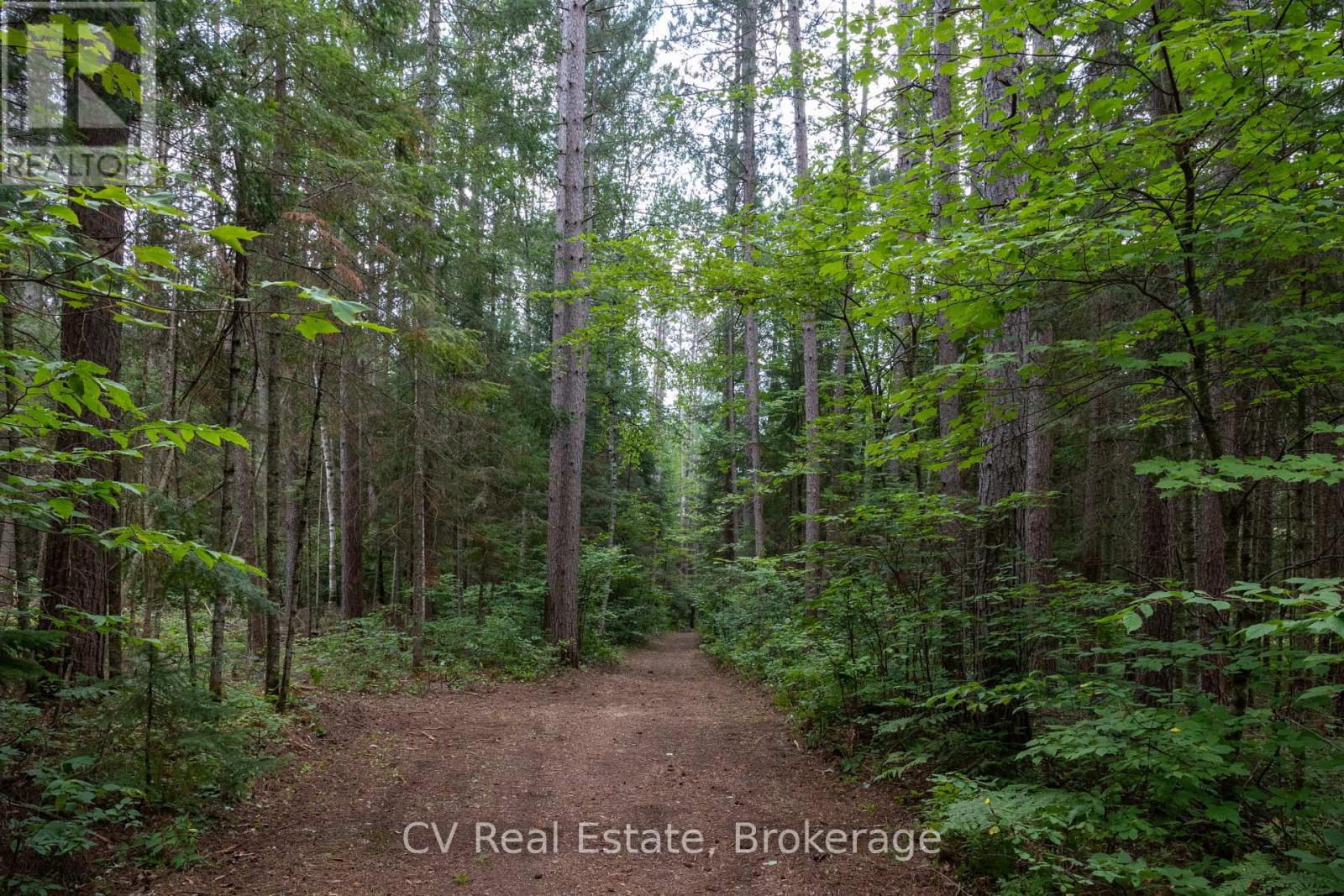 2883 Hwy 60 Highway, Lake Of Bays, Ontario  P0A 1H0 - Photo 14 - X13615682