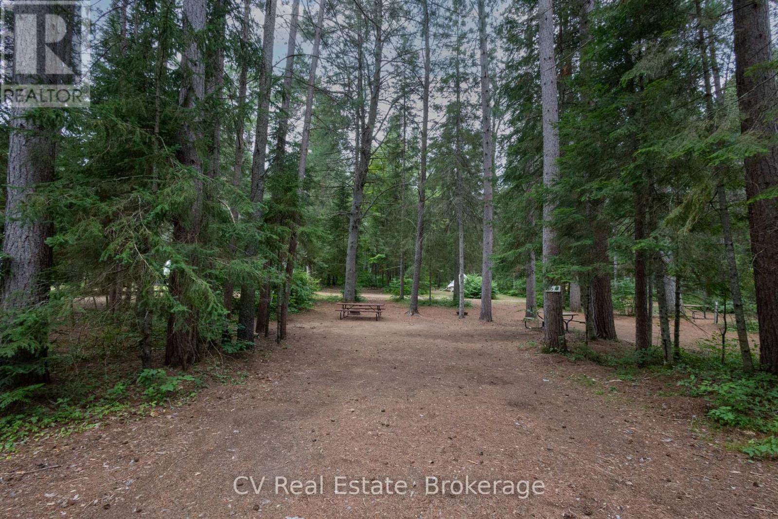 2883 Hwy 60 Highway, Lake Of Bays, Ontario  P0A 1H0 - Photo 19 - X13615682