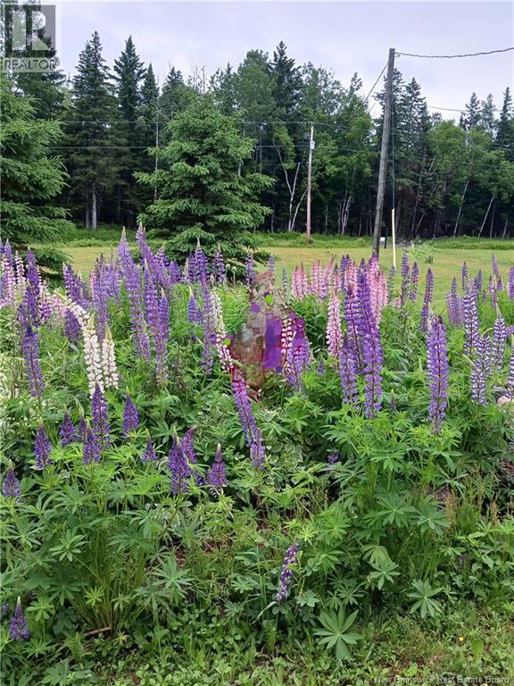 1496 Route 390, Gladwyn, New Brunswick E7H 4R7 - Photo 10 - NB144656