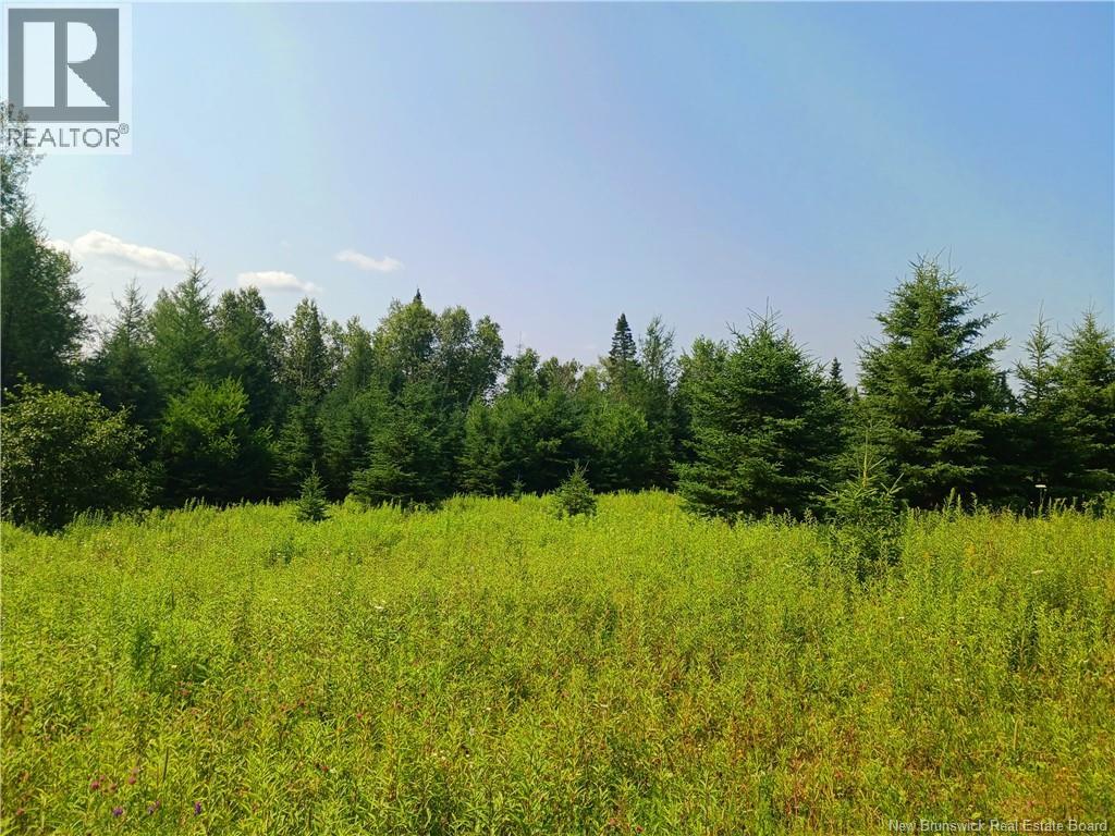 1496 Route 390, Gladwyn, New Brunswick E7H 4R7 - Photo 6 - NB144656