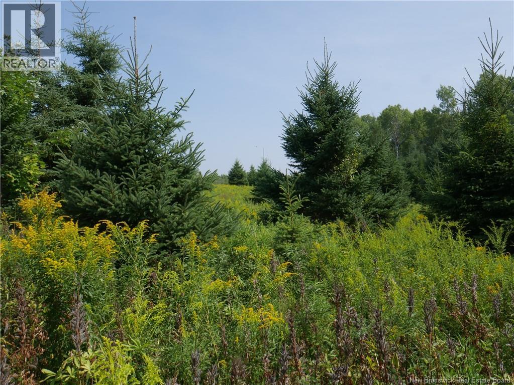 1496 Route 390, Gladwyn, New Brunswick E7H 4R7 - Photo 7 - NB144656