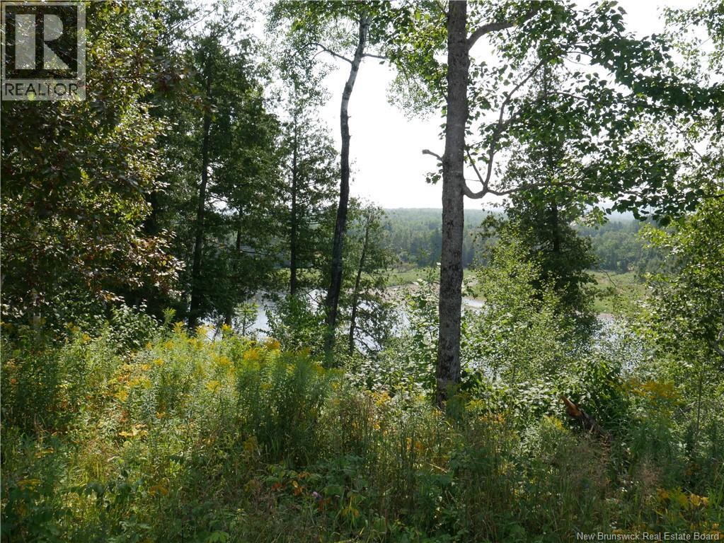 1496 Route 390, Gladwyn, New Brunswick E7H 4R7 - Photo 9 - NB144656
