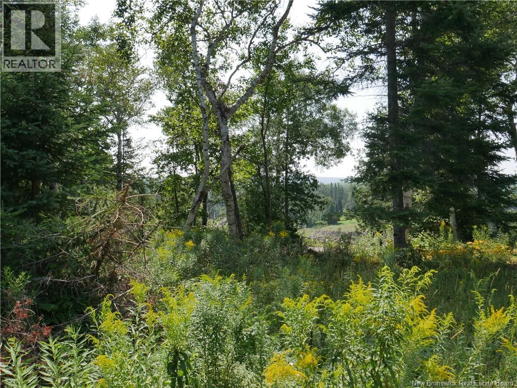 1496 Route 390, Gladwyn, New Brunswick E7H 4R7 - Photo 8 - NB144656