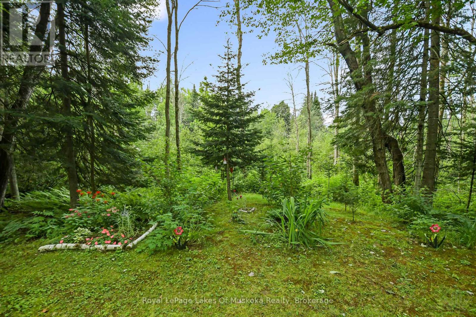 91 Hutcheson Beach Road, Huntsville, Ontario  P1H 1N4 - Photo 26 - X13616084