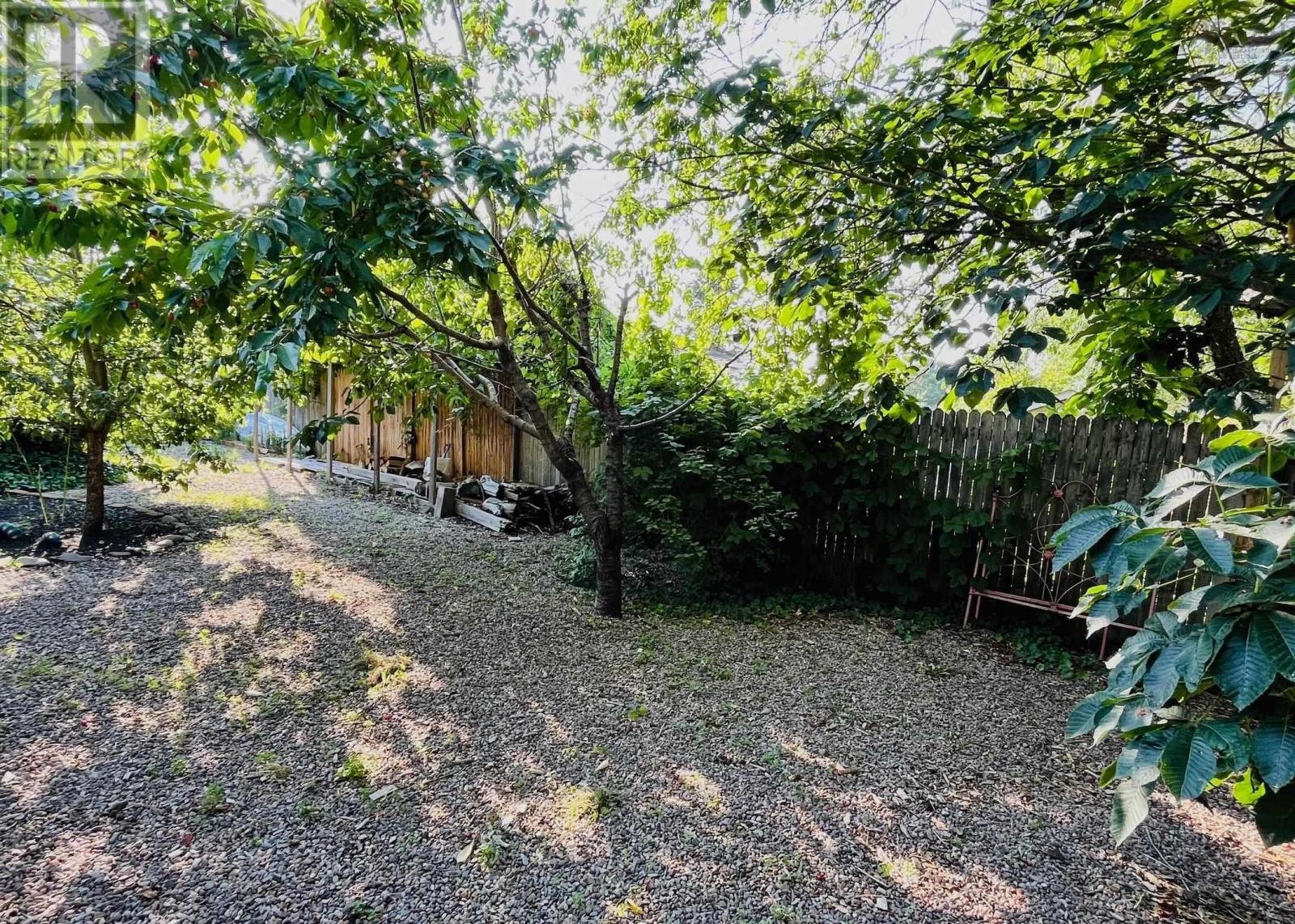 picture 28