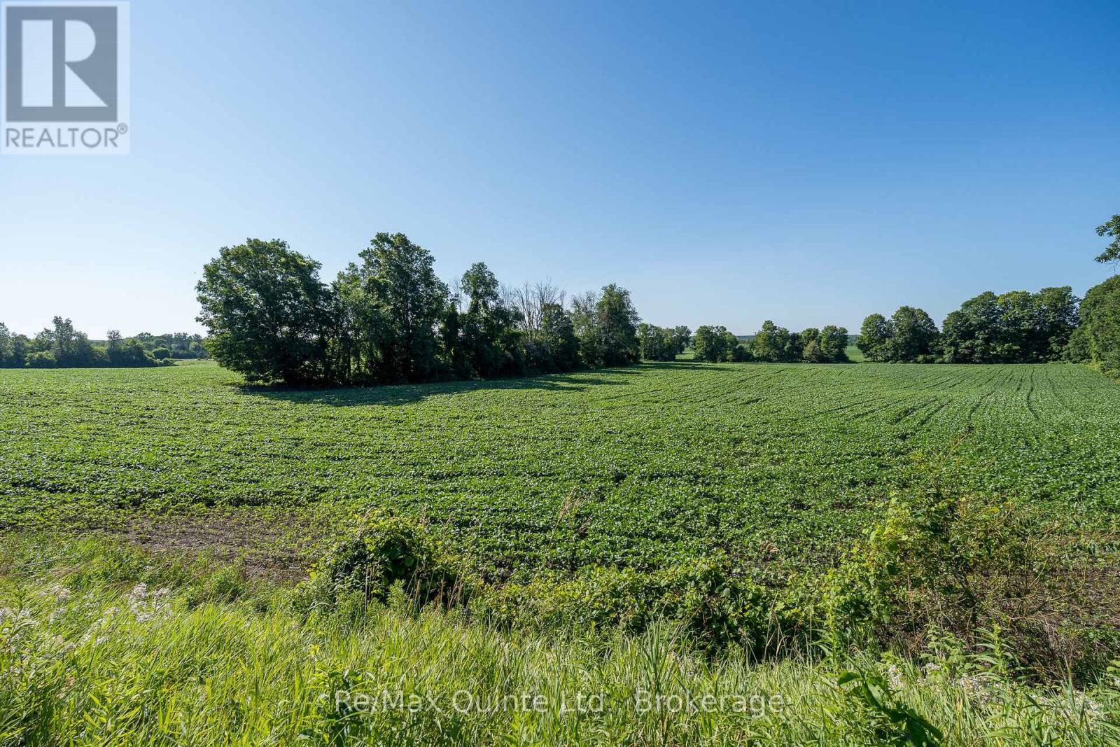 0 Marrisett Road, Tweed, Ontario  K0K 3H0 - Photo 3 - X12833442