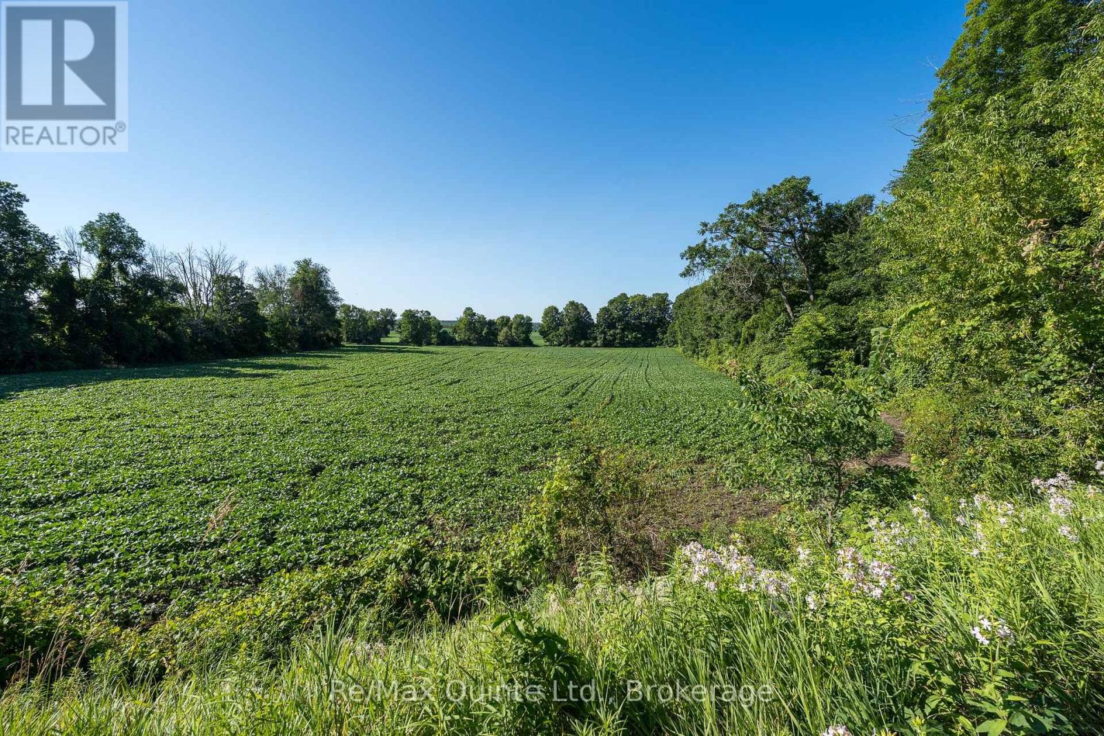 0 Marrisett Road, Tweed, Ontario  K0K 3H0 - Photo 5 - X12833442