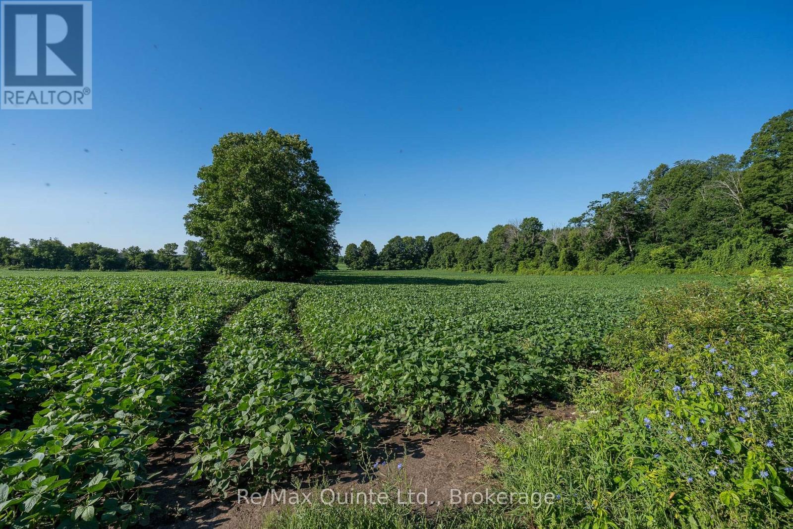0 Marrisett Road, Tweed, Ontario  K0K 3H0 - Photo 4 - X12833442