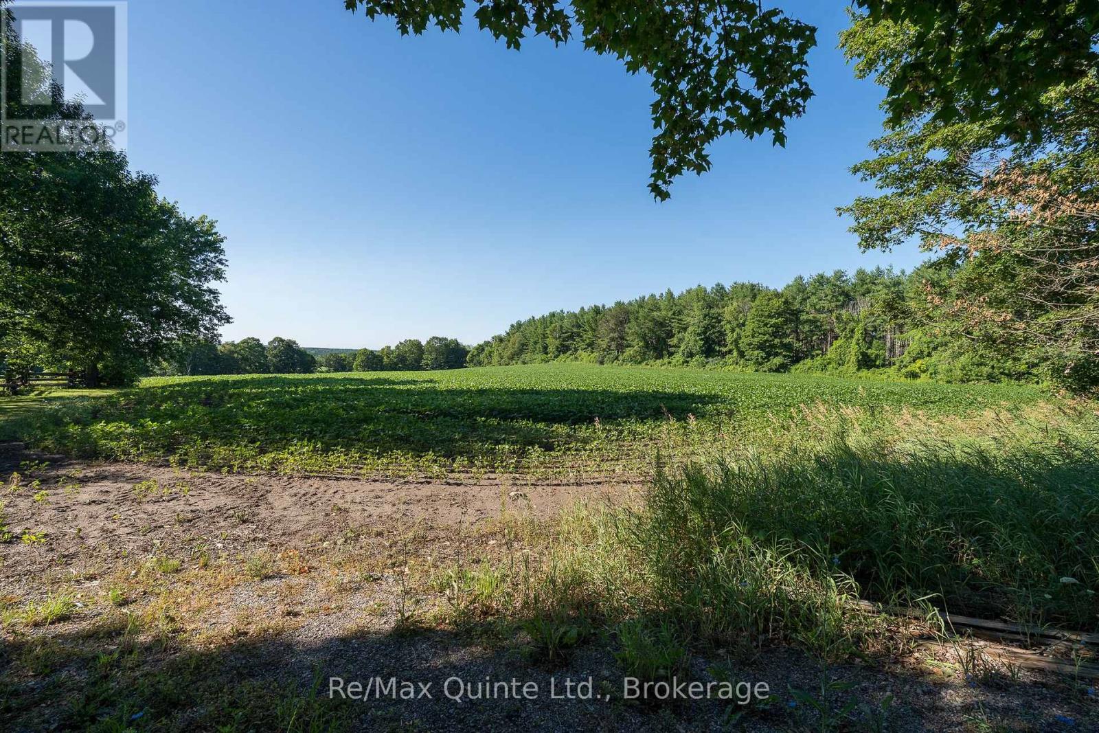 0 Marrisett Road, Tweed, Ontario  K0K 3H0 - Photo 4 - X12833428