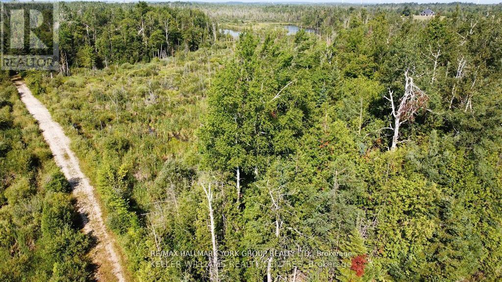 Pt Lot 80 Grey Road, Grey Highlands, Ontario N0C 1M0 - Photo 4 - X13513888