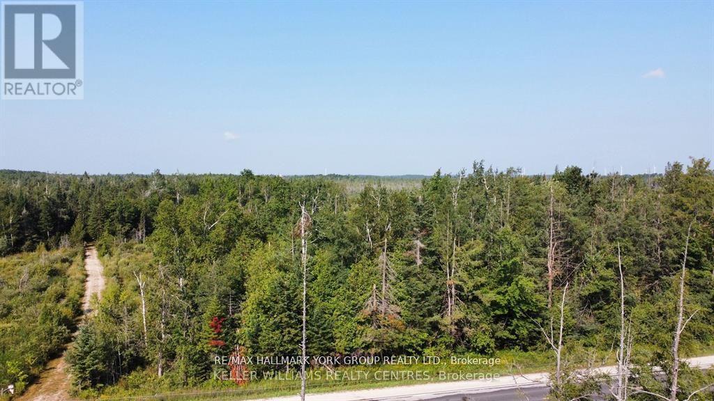 Pt Lot 80 Grey Road, Grey Highlands, Ontario N0C 1M0 - Photo 6 - X13513888