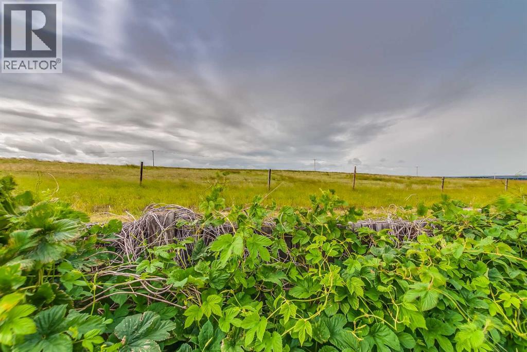 223 Fairchild Street Sw, Medicine Hat, Alberta  T1A 7Z6 - Photo 44 - A2324629