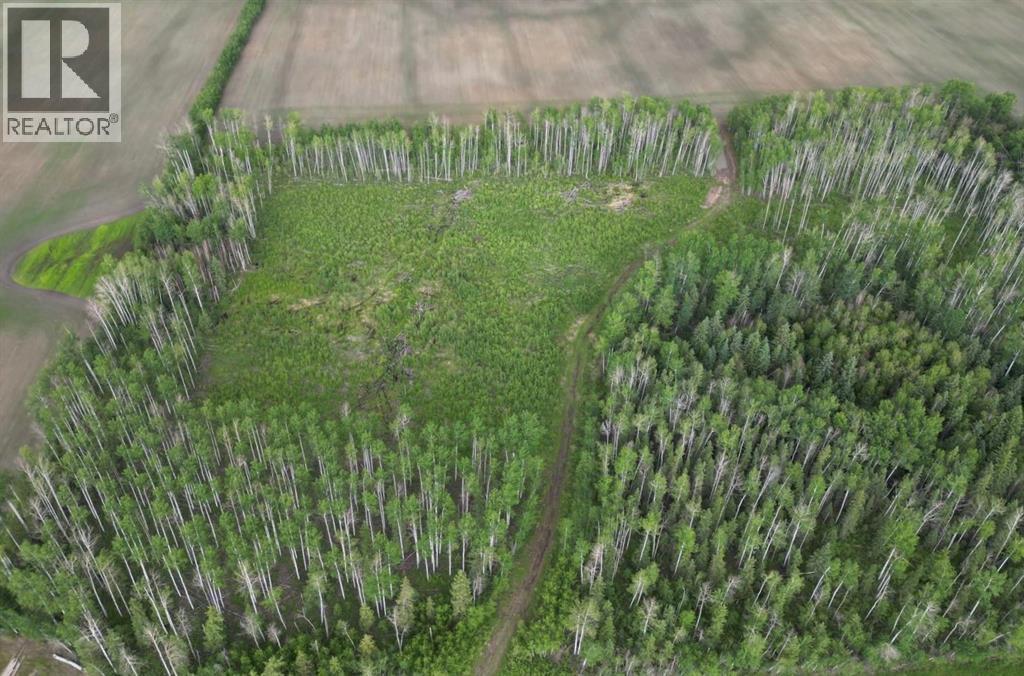 11276 Twp Rd 1064, La Crete, Alberta T0H 2H0 - Photo 6 - A2321610