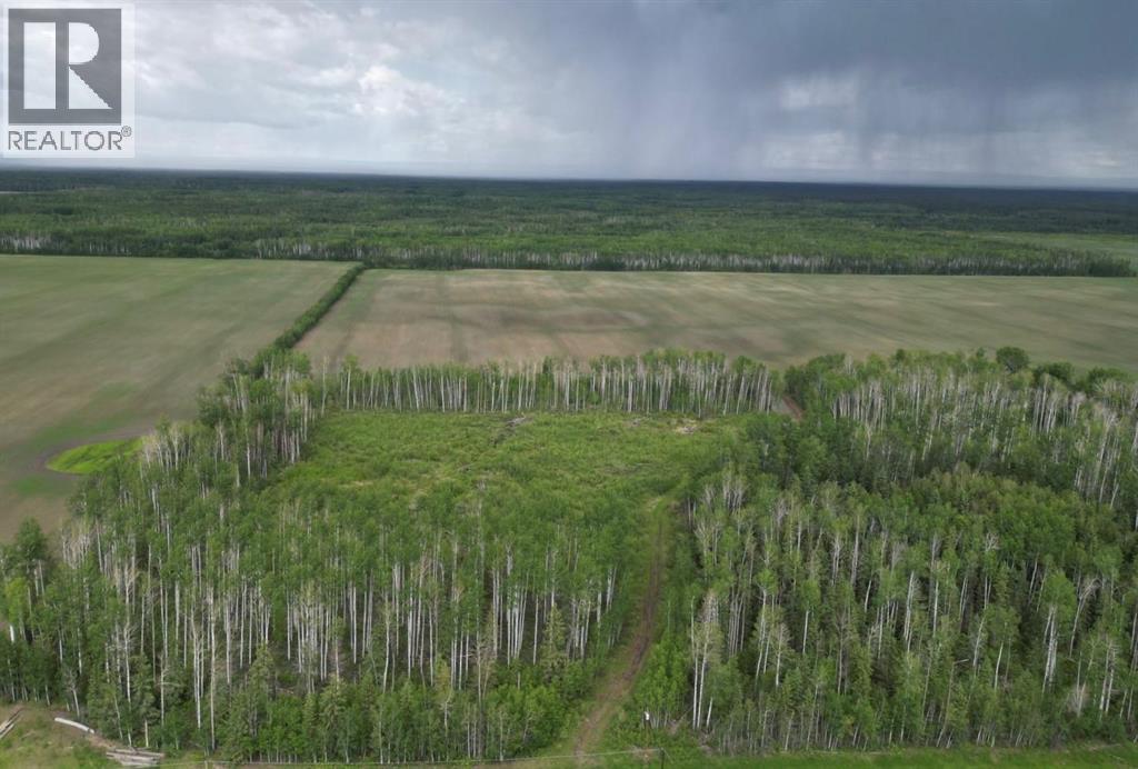 11276 Twp Rd 1064, La Crete, Alberta T0H 2H0 - Photo 5 - A2321610