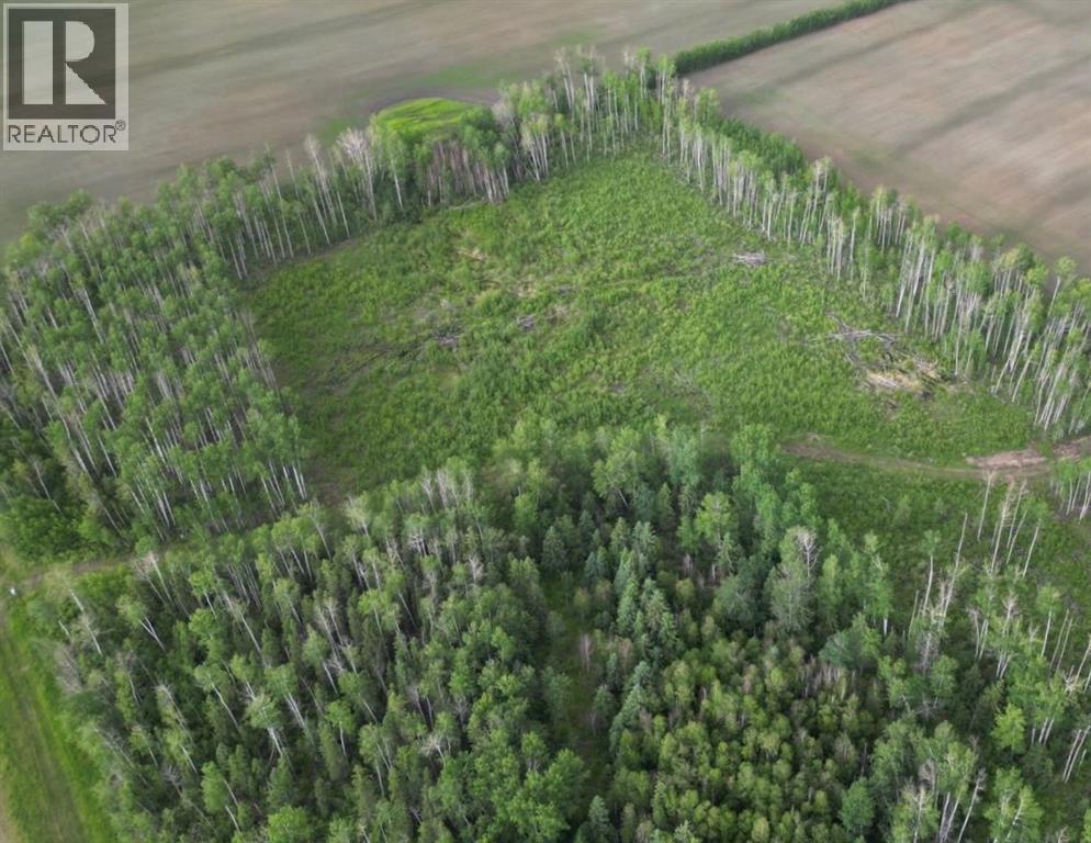 11276 Twp Rd 1064, La Crete, Alberta T0H 2H0 - Photo 7 - A2321610