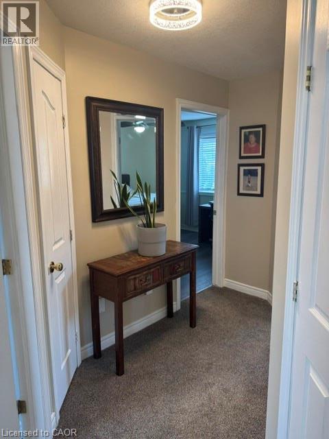 102 Willow Lane, Grimsby, Ontario  L3M 5P7 - Photo 12 - 40849934