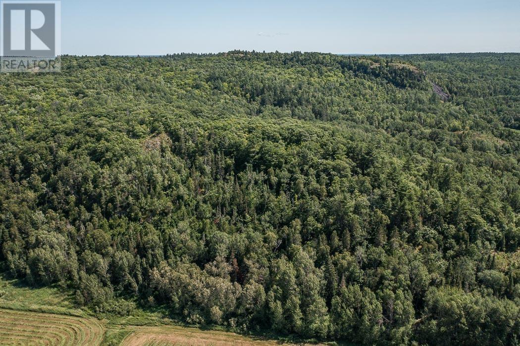 875 Lake George Rd E, Laird Township, Echo Bay, Ontario  P0S 1C0 - Photo 33 - SM261950