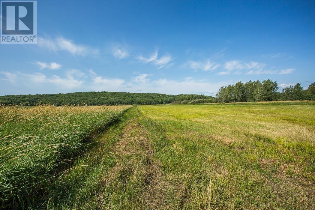 875 Lake George Rd E, Laird Township, Echo Bay, Ontario  P0S 1C0 - Photo 37 - SM261950