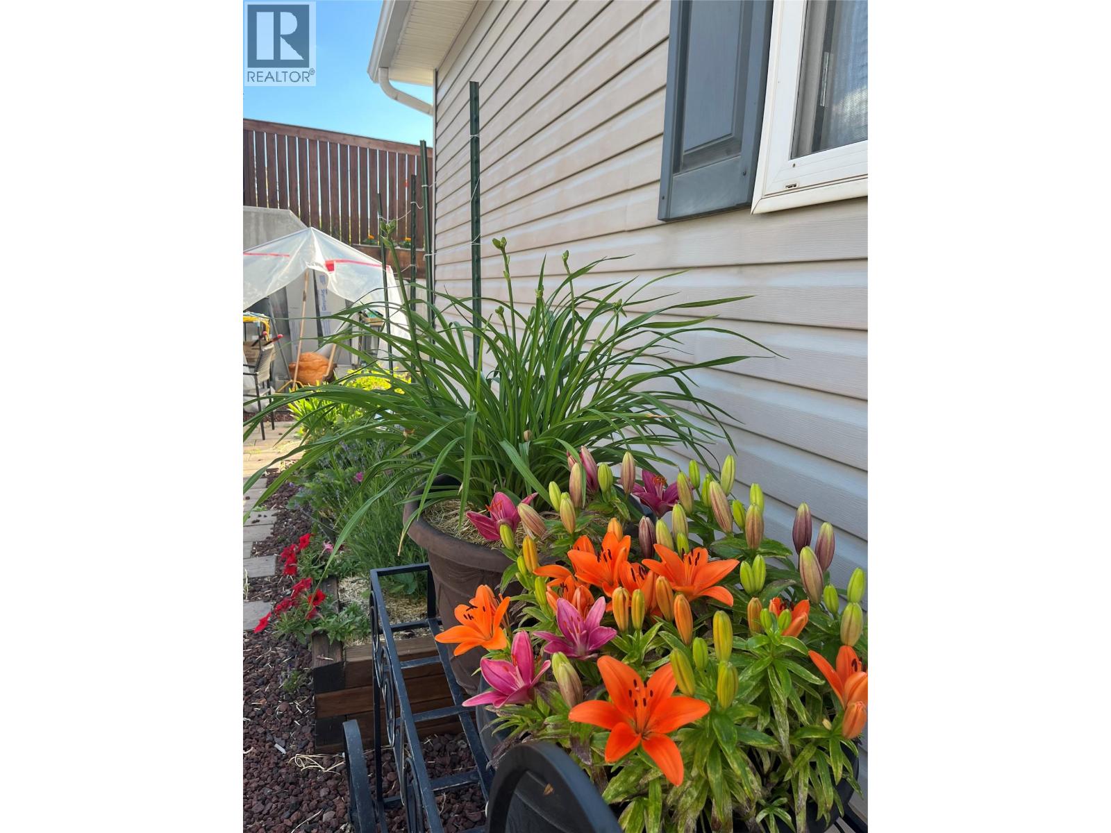 32 Pinewood Avenue, Cranbrook, British Columbia V1C 5X8 - Photo 45 - 10395771