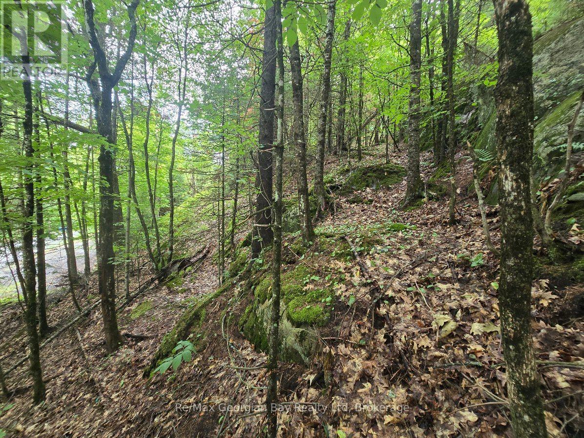 107 BALSAM CHUTES ROAD, Huntsville, Ontario