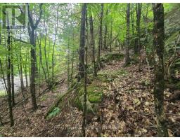 107 BALSAM CHUTES ROAD, huntsville (stephenson), Ontario