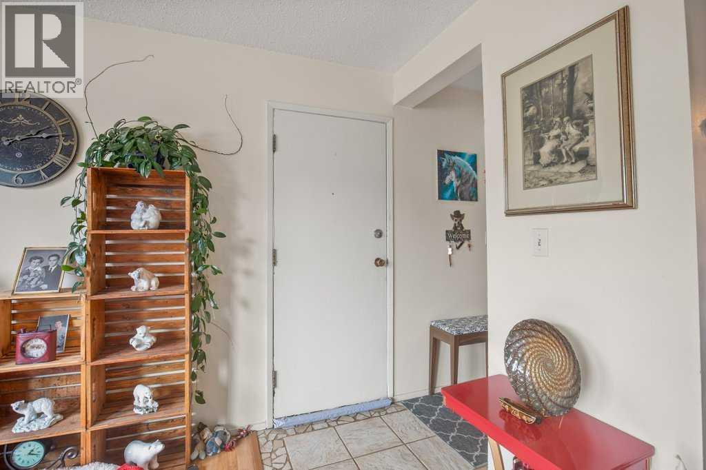 4639 48 Street, Sylvan Lake, Alberta  T4S 1L4 - Photo 18 - A2321605