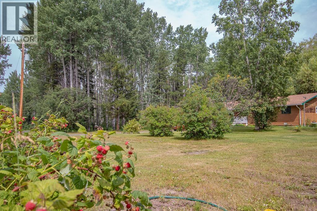 12015 Sowchea Road, Fort St. James, British Columbia  V0J 1P0 - Photo 21 - R3150446