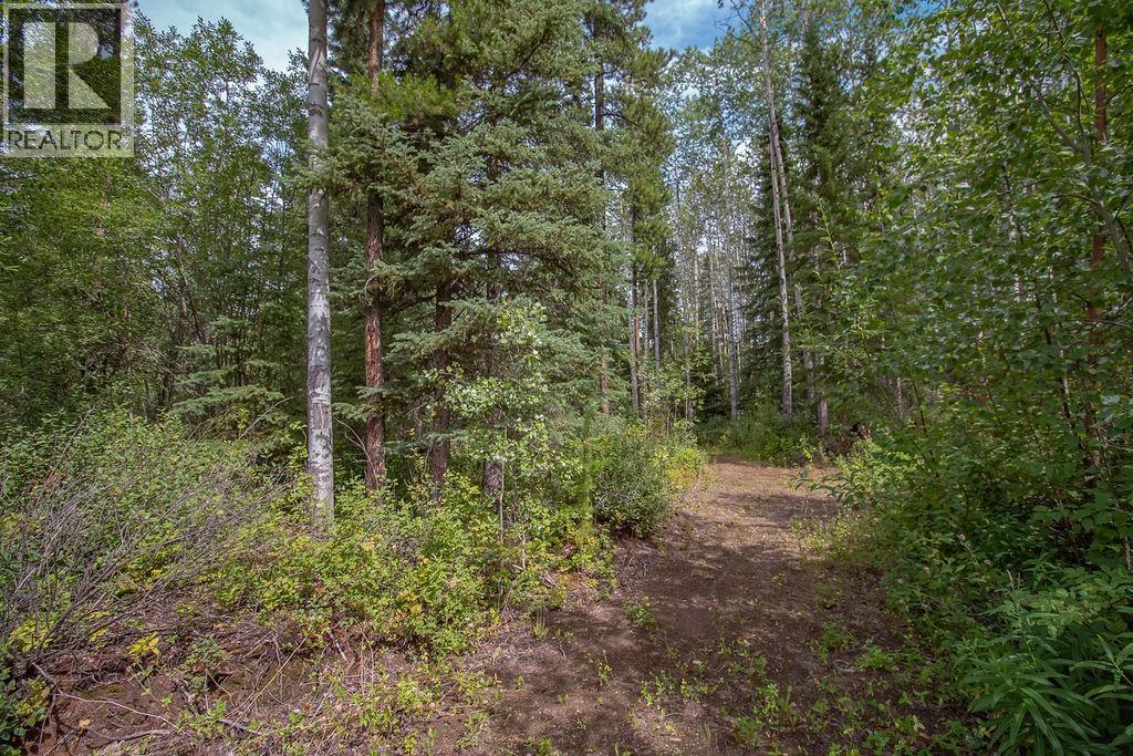 12015 Sowchea Road, Fort St. James, British Columbia  V0J 1P0 - Photo 25 - R3150446