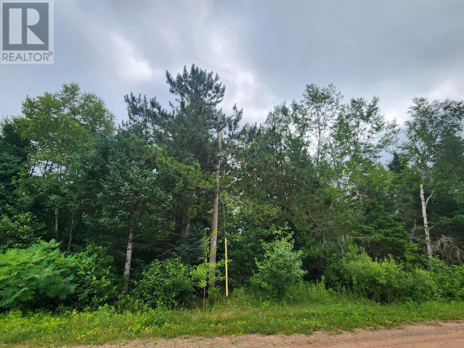 265 Line Road, Sturgeon, Prince Edward Island  C0A 1R0 - Photo 15 - 202608391