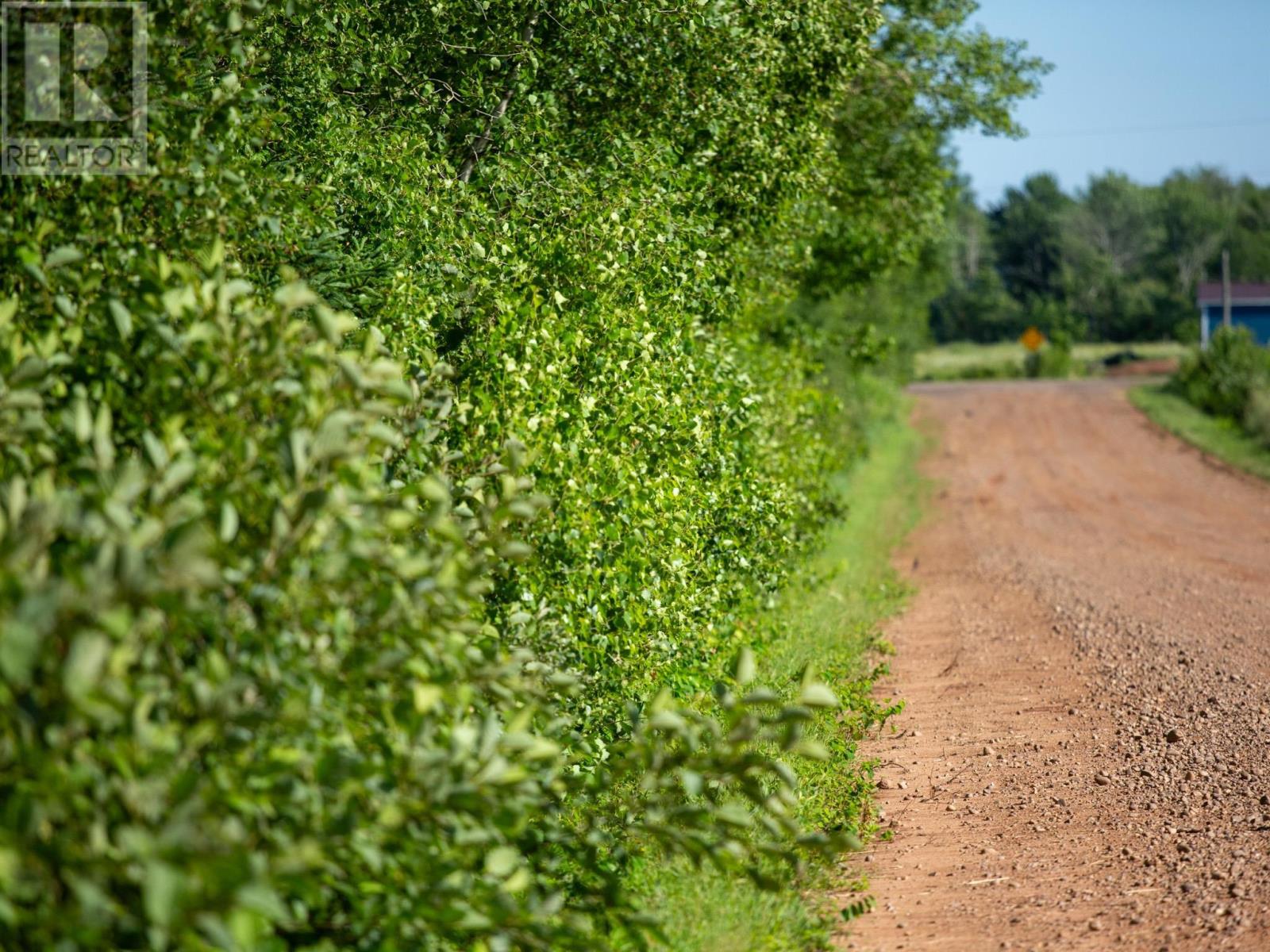 Acreage Campbell Road, Whim Road, Prince Edward Island C0A 1R0 - Photo 5 - 202619003