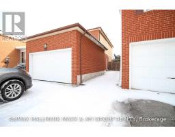 BSMNT - 151 KERSEY CRESCENT, Richmond Hill, Ontario